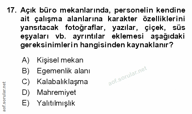 Soru 17