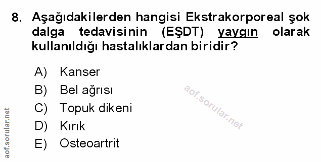 Soru 8