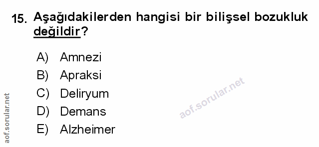 Soru 15