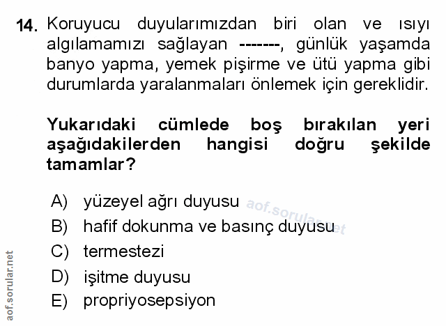 Soru 14