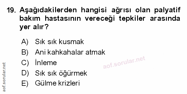 Soru 19
