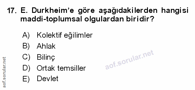Soru 17
