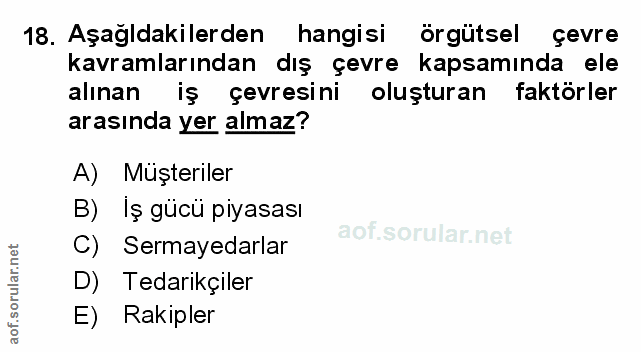 Soru 18