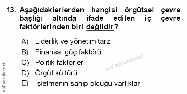 Soru 13