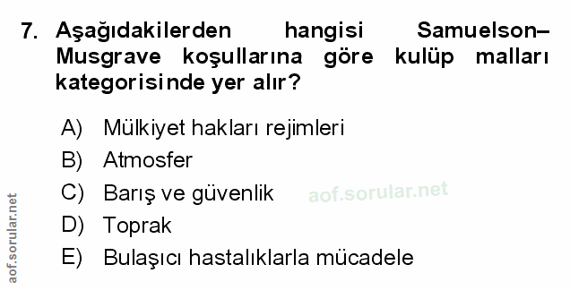 Soru 7