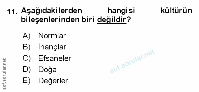 Soru 11