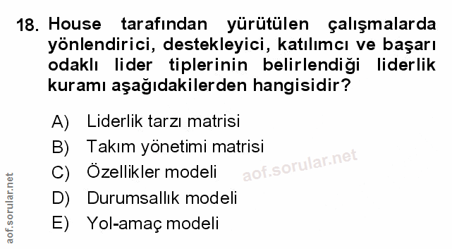 Soru 18