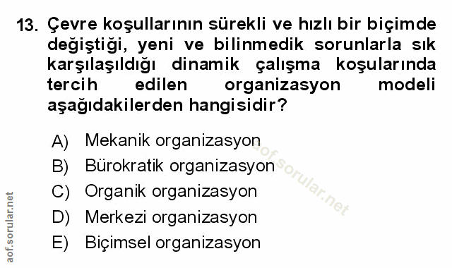 Soru 13