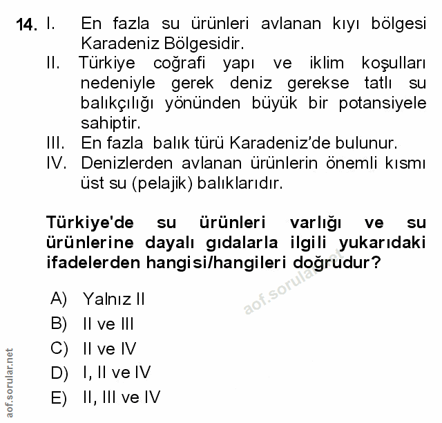 Soru 14