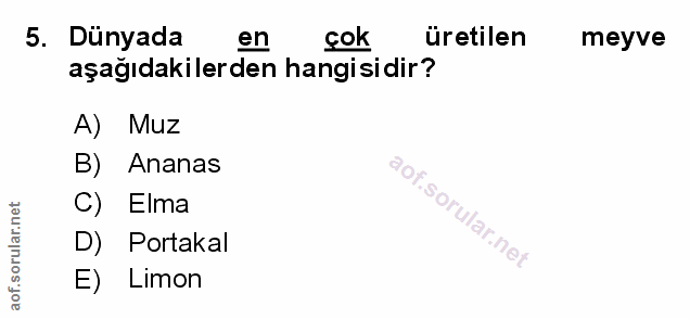 Soru 5