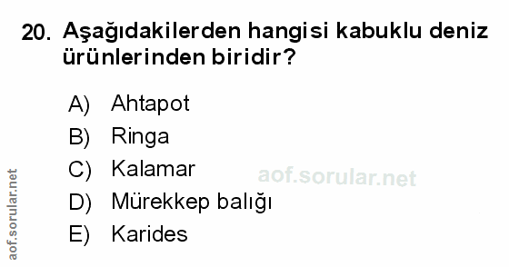 Soru 20