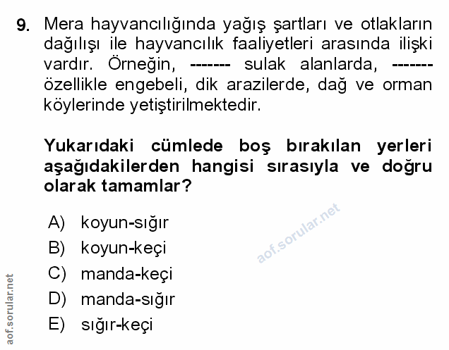 Soru 9