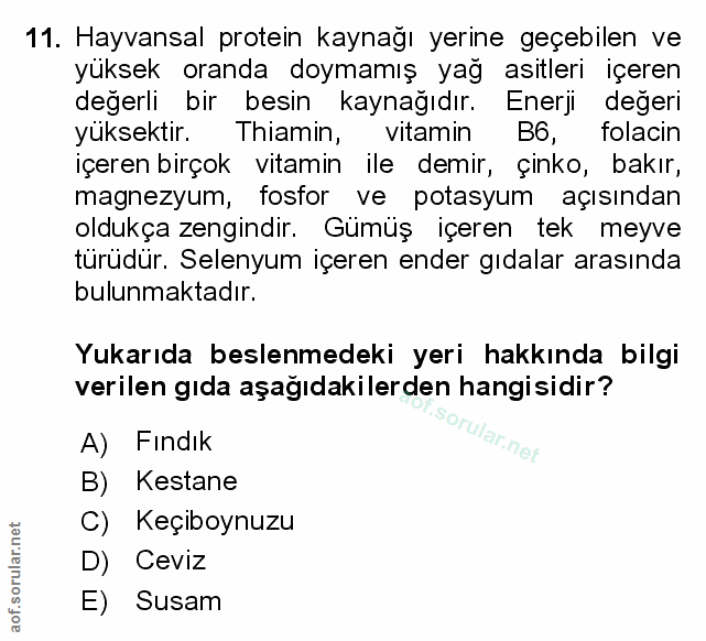 Soru 11