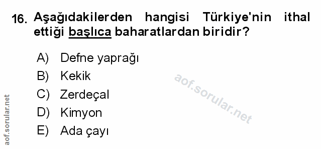 Soru 16