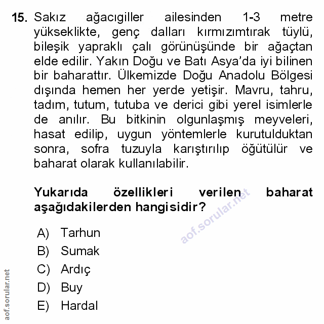 Soru 15