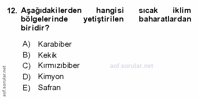 Soru 12