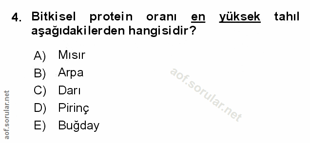 Soru 4