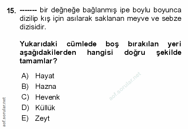 Soru 15