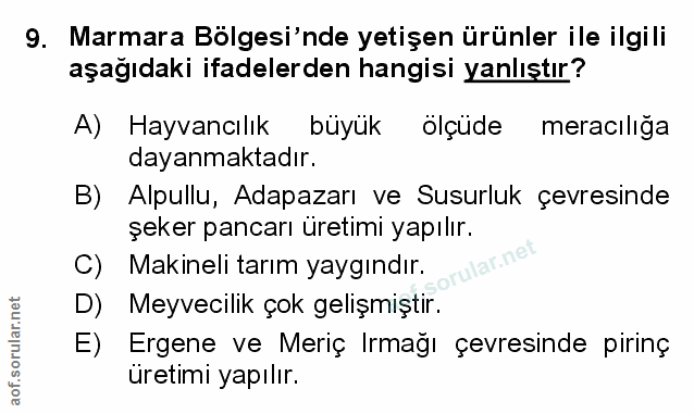 Soru 9