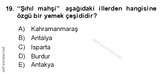 Soru 19