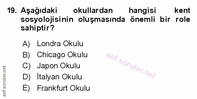 Soru 19