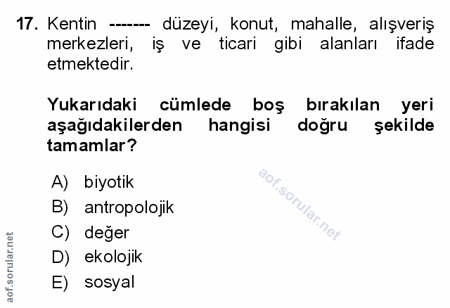 Soru 17