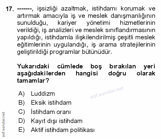 Soru 17