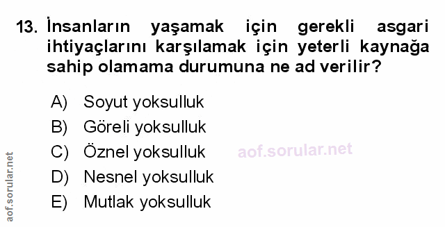 Soru 13