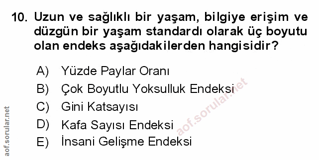 Soru 10