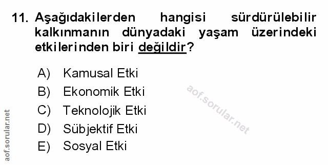 Soru 11