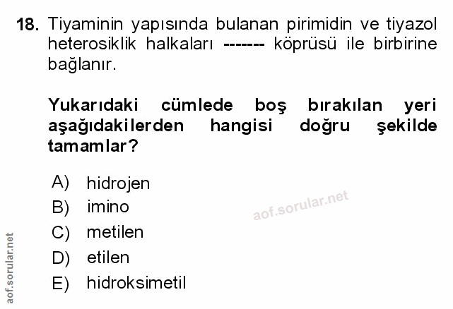 Soru 18
