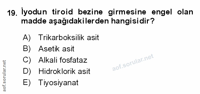 Soru 19