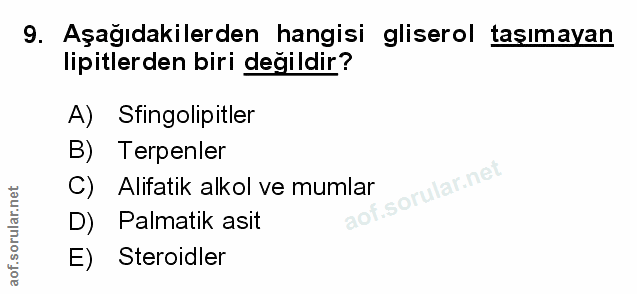 Soru 9