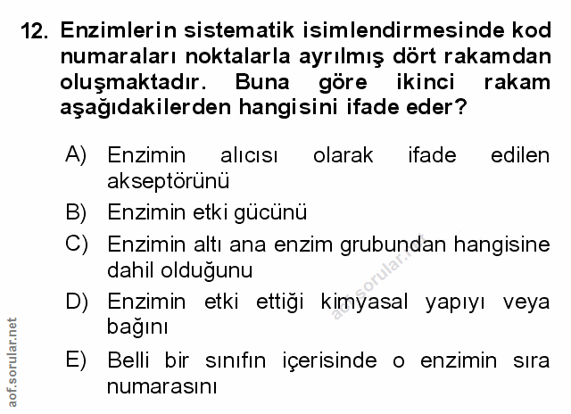 Soru 12