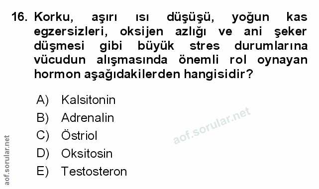 Soru 16