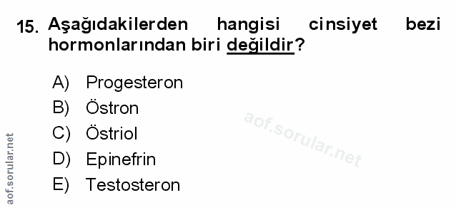 Soru 15