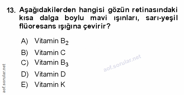 Soru 13
