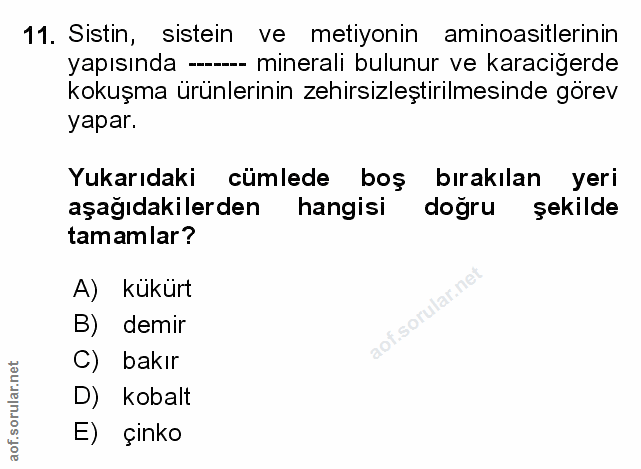 Soru 11