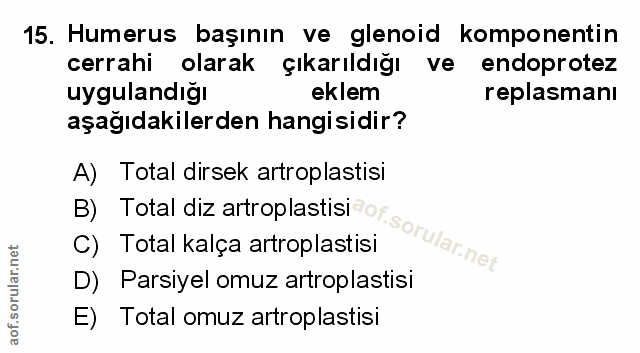 Soru 15
