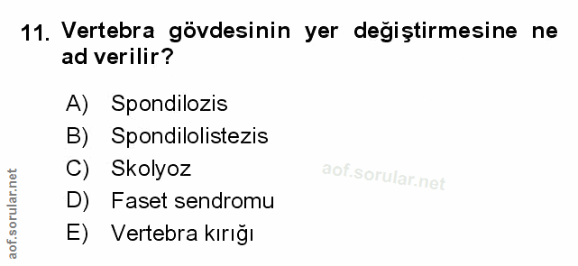 Soru 11