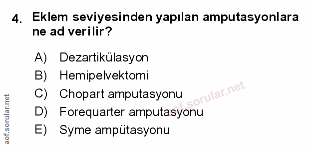 Soru 4