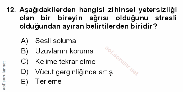 Soru 12