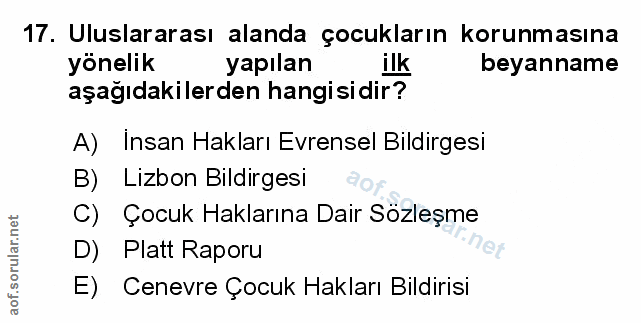 Soru 17