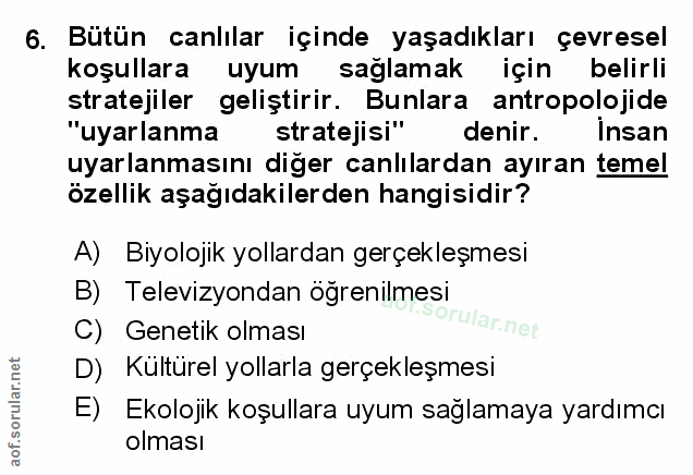 Soru 6
