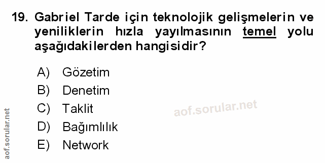 Soru 19