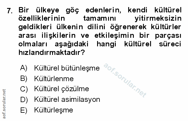 Soru 7