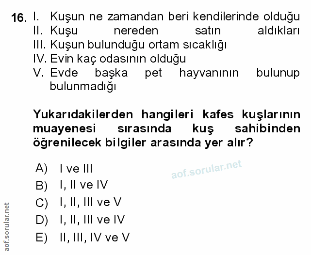 Soru 16