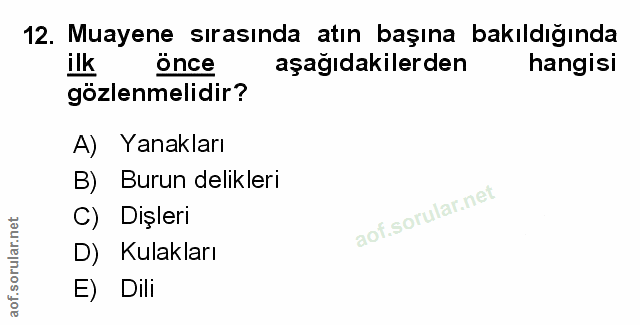 Soru 12