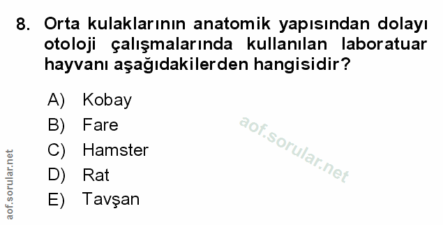 Soru 8