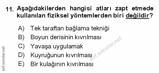 Soru 11